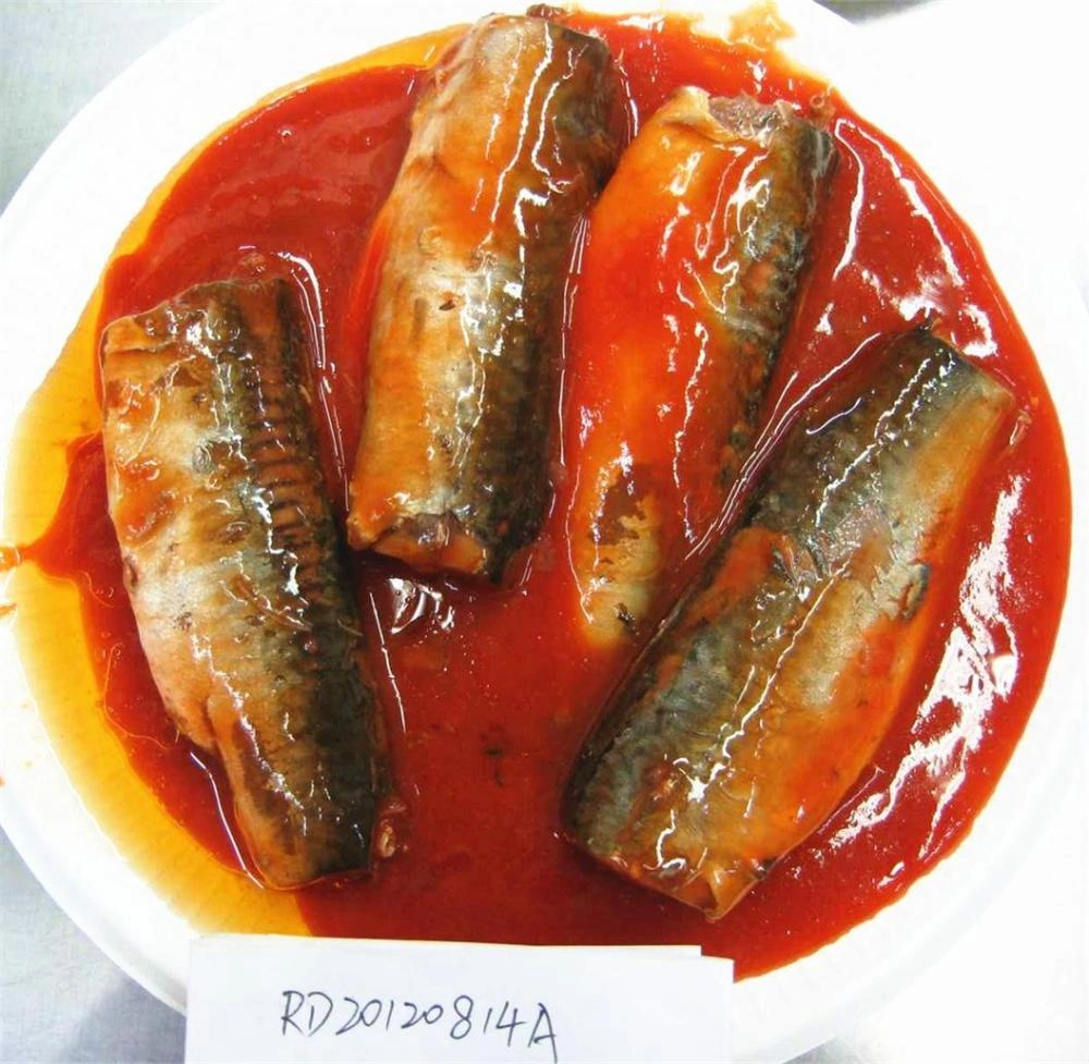 Canned Mackerel Fish In Tomato Sauce China Manufacturer