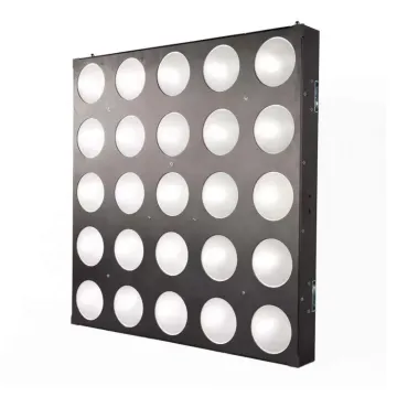 25x10W RGBW LED Matrix Light DMX DJ Equipment - 25 Eyes LED Blinder Stage Lighting