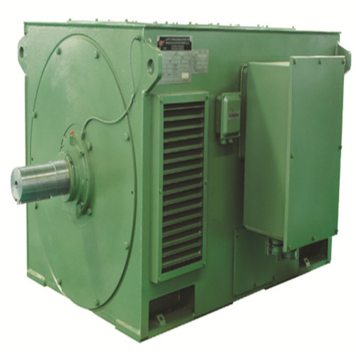 Y YX Series High Voltage Three-Phase Asynchronous Motor