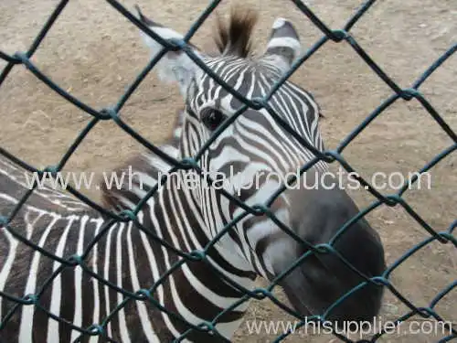 Wire Mesh Barrier For Security 