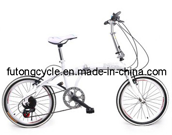 Folding Bike with Nice Quality
