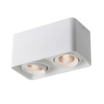 10w*2 COB Double Head Spotlight - Adjustable LED Rectangular Downlight