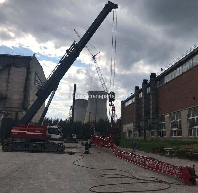 Grue sur chenilles de levage avec flèche télescopique