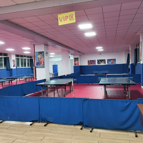 Lantai Pingpong Dalaman Profesional ITTF Diluluskan