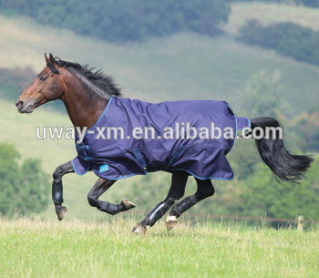 Summer horse blanket