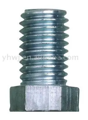 Screw bolt