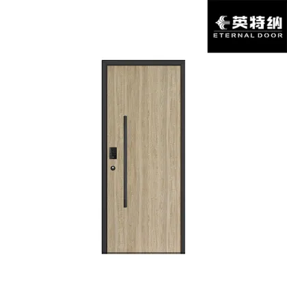 Smart Design Tech Panel Door for Contemporary Houses