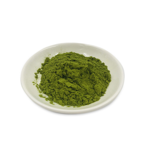 Premium Seaweed Extract Benefits
