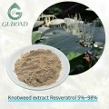 Extracto de Knotweed Fuente natural Resveratrol Nutricional