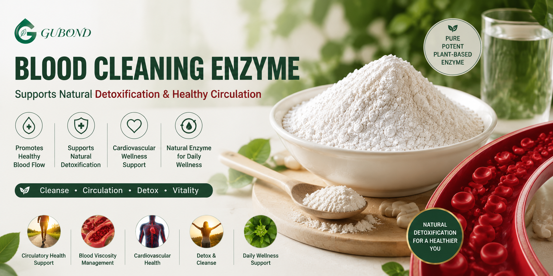 Blood Cleaning Enzyme