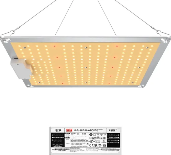 Hot Sale LM301H High Umol Full Spectrum & 730nm 1000W LED 720W Grow Light for Indoor Plants