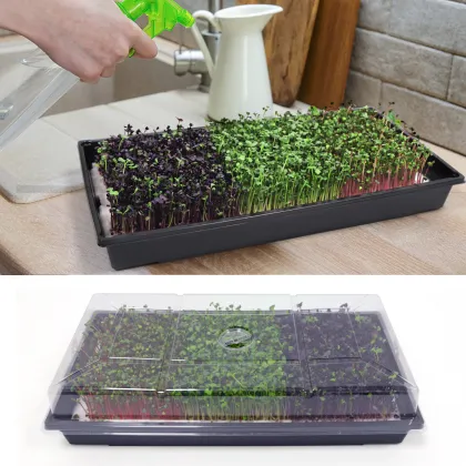 Indoor Microgreens Seeds Growing Kit: Vegetable Plant Tray Nursery Set