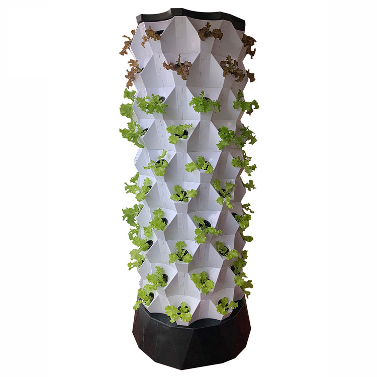 Pineapple tower hydroponic system