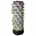 Kit de cultivo vertical Home Garden