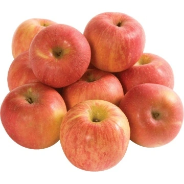 Chinese Pink Lady Red Apples China Manufacturer