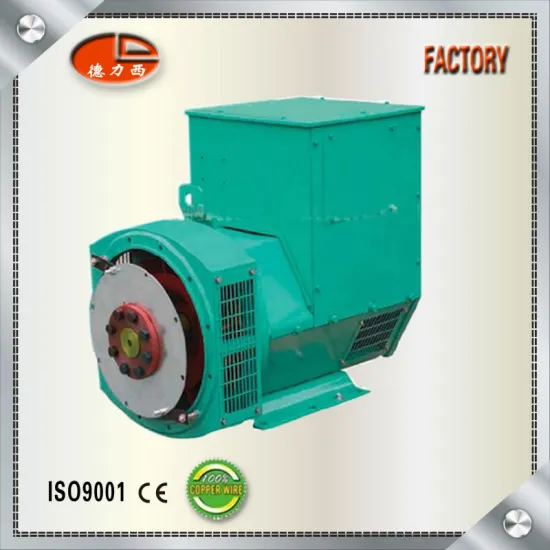Delixi 100% Copper Wire Double Bearing Brushless Alternator