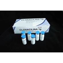 Cloxacilina sódica inyectable BP 1G