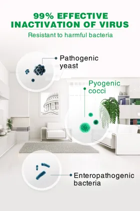 Household disinfection cleaning toilet wash spray