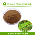 Chanca Piedra-extract / Phyllanthus urinaria L. Poeder