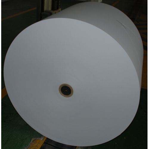 Popular Offset Printing Paper Roll