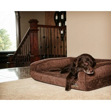 paw orthopedic dog bed