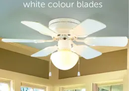 30" 6 ABS Blades ceiling fan