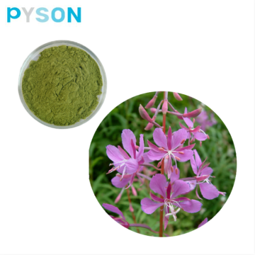 مسحوق استخراج Epilobium Parviflorum 4: 1