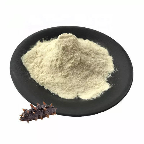 Male Health Supplement Sea Cucumber Peptide