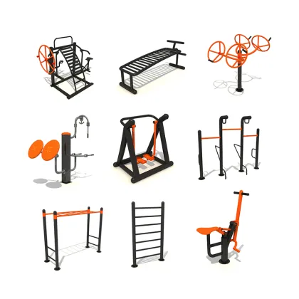 Stainless Steel Outdoor Gym Equipment: Limit Double Walker Fitness Gear