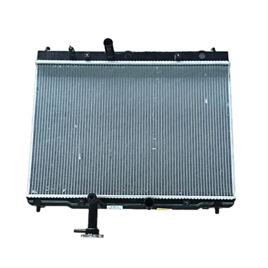 Brand New Aluminum Radiator Water Tank Assembly for SWM X7