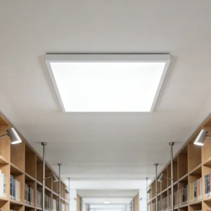 LED ceiling light for interior harmony