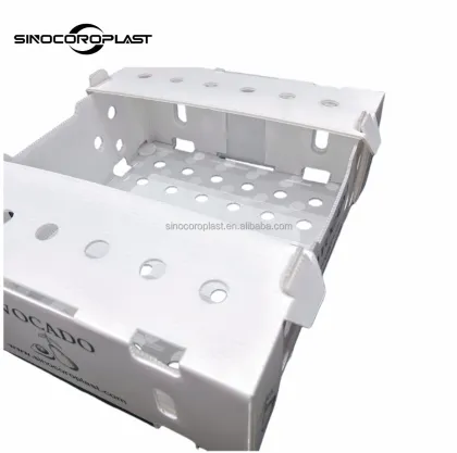 Coroplast Okra Packing Box