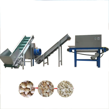 Industrial Automatic Garlic Peeling Machines and Processing Production Line