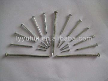 Galvanized Concrete nails with groove shank(factory)
