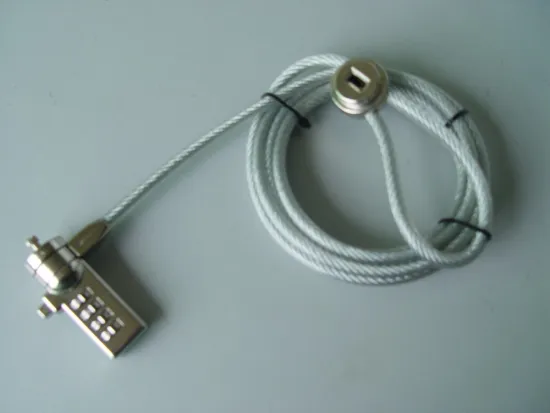 Different Design Portable Laptop Lock