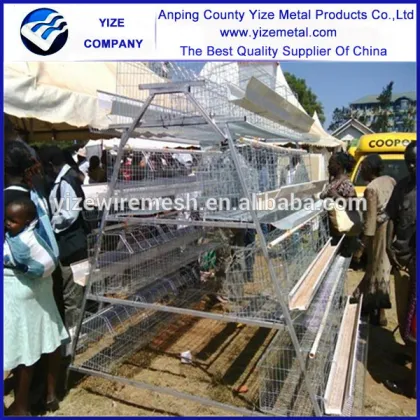 chicken layer farm/fans for chicken farm/farm equipment chicken