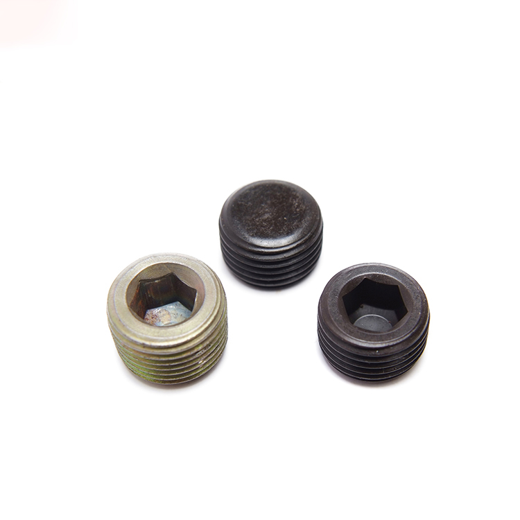 Steel Screw Plugs