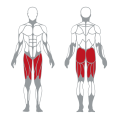 Máquina de super agachamento muscular