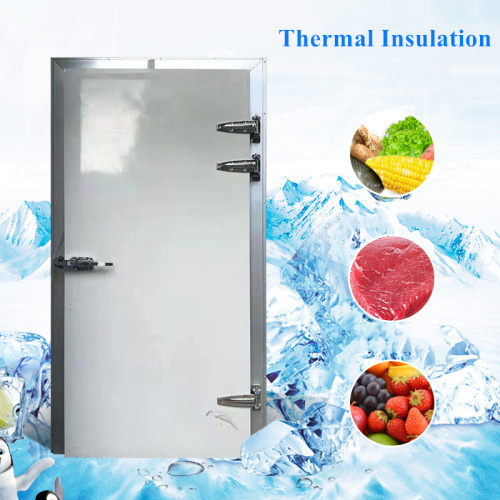 Cold Room Swing Door