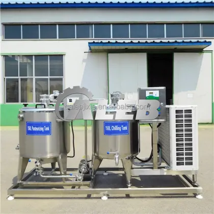 Small Scale 500L Pasteurized Milk Processing Line: Dairy Milk Production Machines for Sale