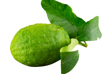Fragrant Yunnan Perfume Lemon For Hotel Catering