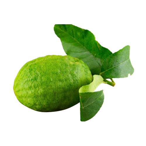 عطر لیمو یوننان معطر برای پذیرایی هتل