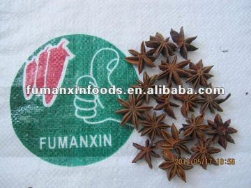 star aniseeds
