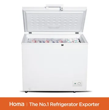 BD1-251 small chest freezer with Mechanical Controlr