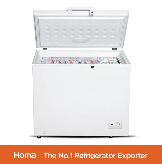 BD1-251 small chest freezer with Mechanical Controlr
