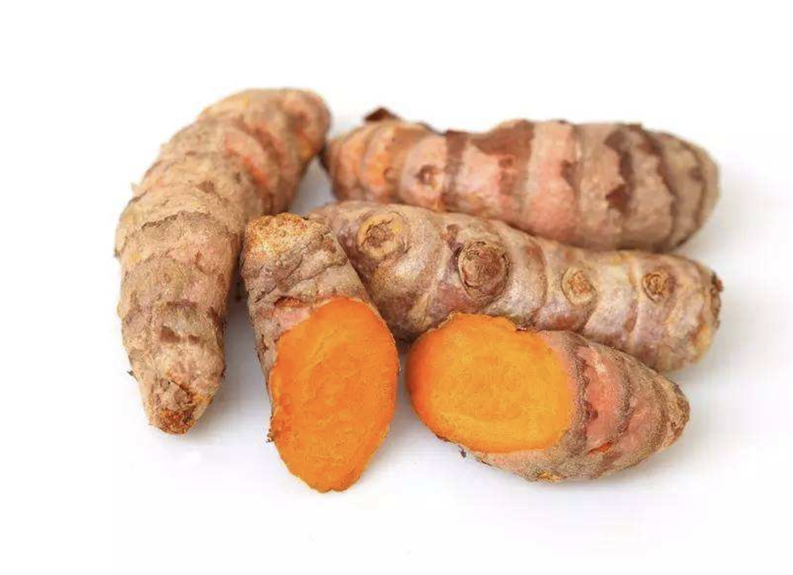 Turmeric Extract Supplier