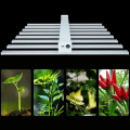 High Yield Grow Light Led For Greenhouse