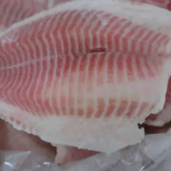 Frozen tilapia fish  fillet