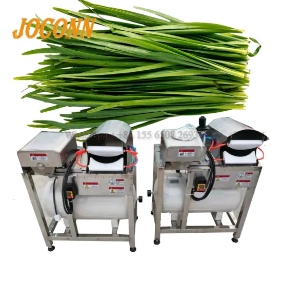 Hot Sale Veggie Cleaning Machines: Celery, Garlic, Scallion, Chives, Leeks Mud and Skin Removal