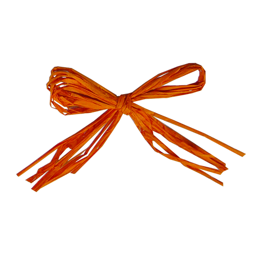 wrapping paper raffia ribbon